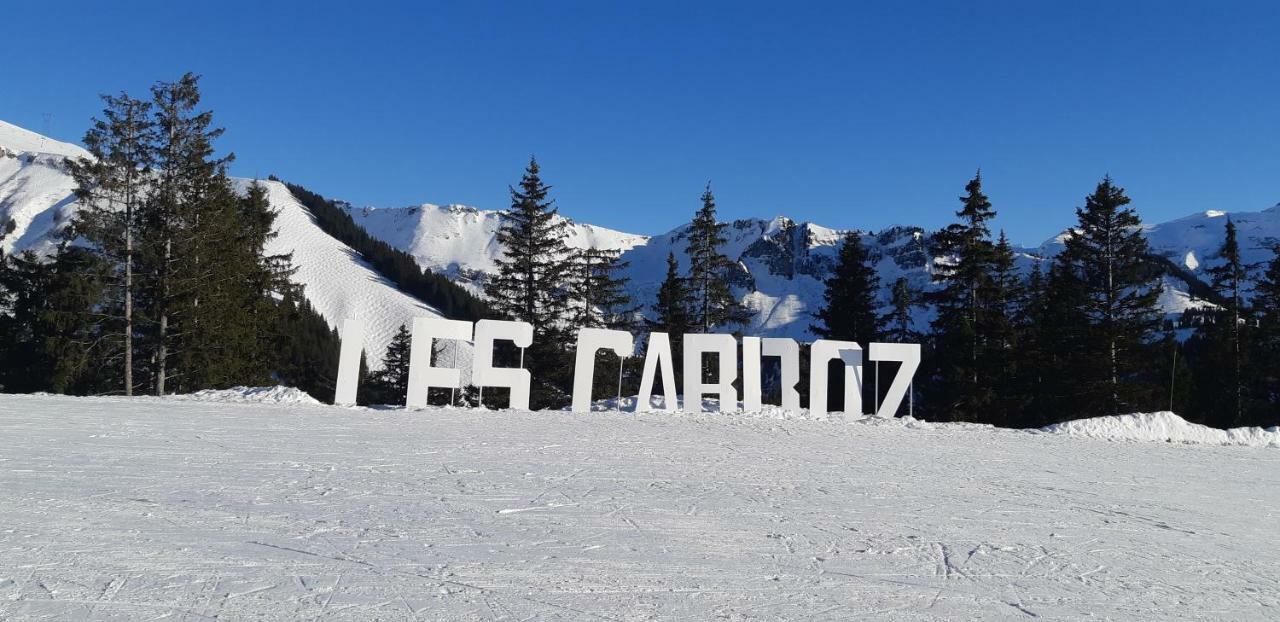 Grand Studio Les Carroz d'Araches Esterno foto